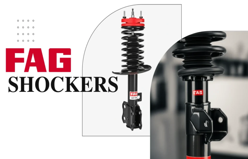 FAG Bearings & FAG Shockers